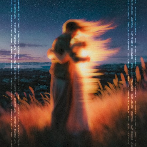 DESTROY LOVE