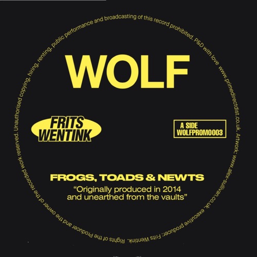 Frogs, Toads & Newts