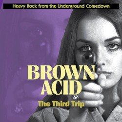 Brown Acid: The Third Trip