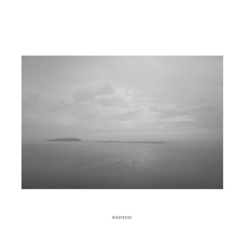 R0011501