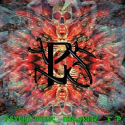 Psychedelic Insanity E.P.
