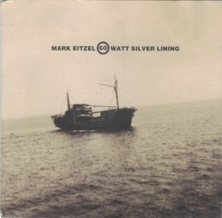 60 Watt Silver Lining