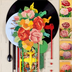 Wildflowers Vol. 2