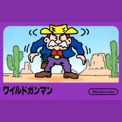Wild Gunman