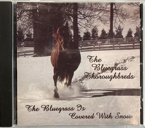 The Bluegrass Is Covered by Snow