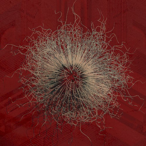 Viral Hysteria