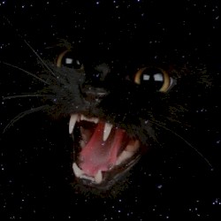 Bad Kitty Void (Berrix mashup/edit)