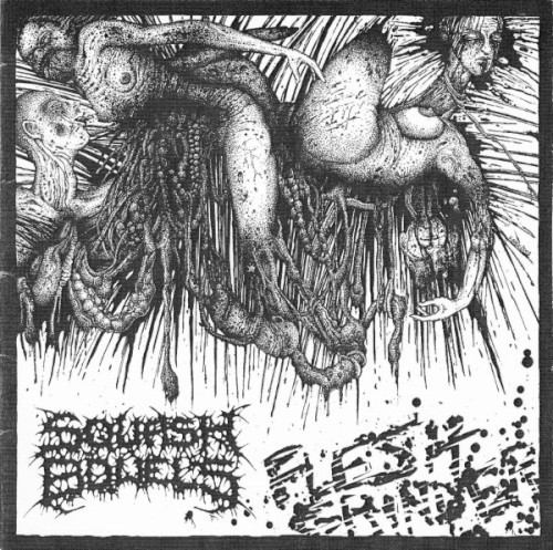 Flesh Grinder / Harsh Extreme