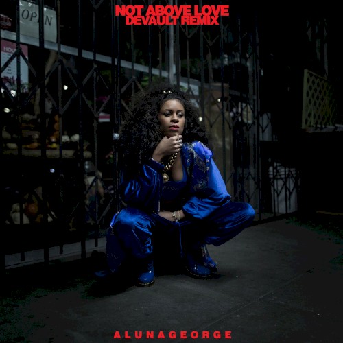 Not Above Love (DEVAULT remix)