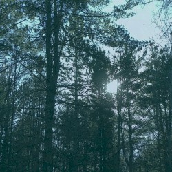 Vacant