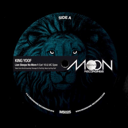 Lion Sleeps No More