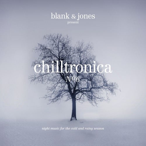 Chilltronica, № 6