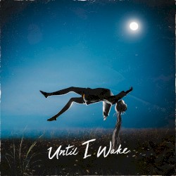 Until I Wake