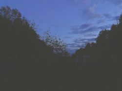 a slow breath of night breeze