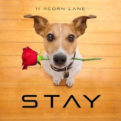 Stay