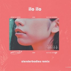 what u need (Slenderbodies Remix)