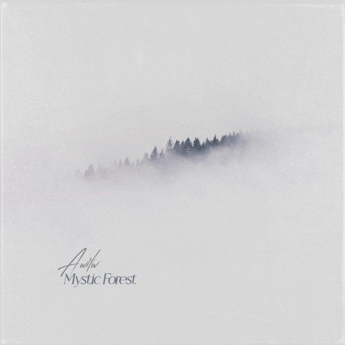 Mystic Forest