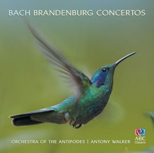 Brandenburg Concertos