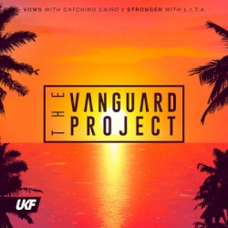 Vows / Stronger