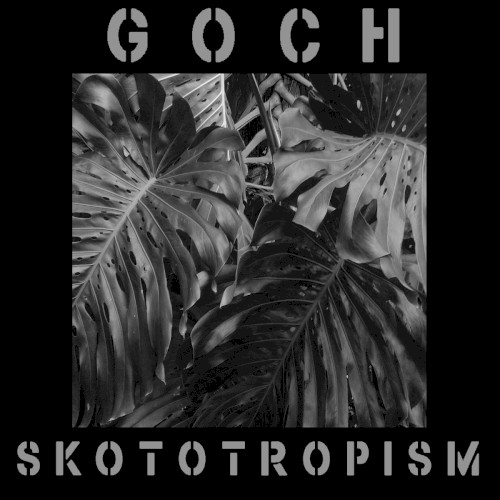 Skototropism