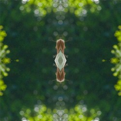 #151: Give No Quarter, Nor Waste Arguments