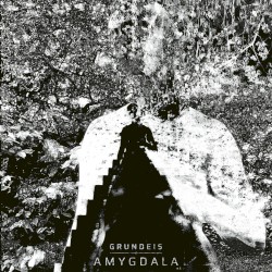 Amygdala