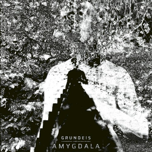 Amygdala