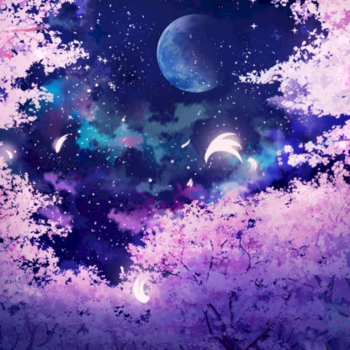 Blossom