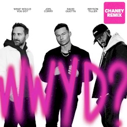 What Would You Do? (CHANEY remix)