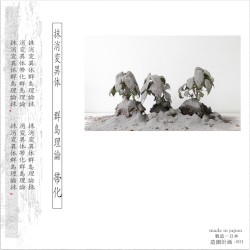 末梢変異体/群島理論