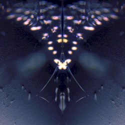 Meanderings