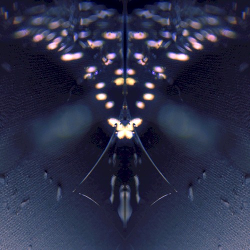 Meanderings