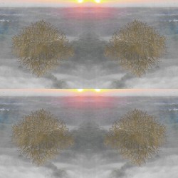𝔪𝔬𝔲𝔫𝔱