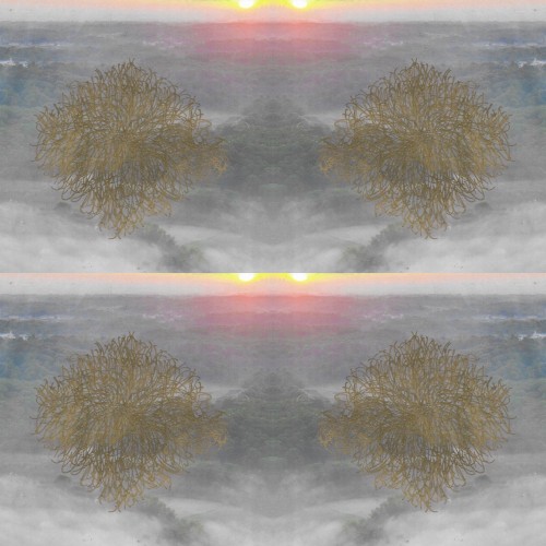 𝔪𝔬𝔲𝔫𝔱