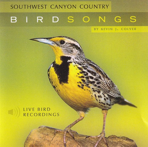 Songbirds of the Southwest Canyon Country