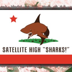 Sharks!