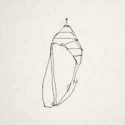 Chrysalis