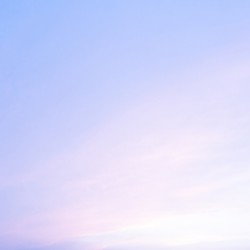 The Light