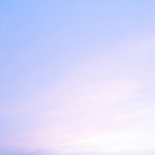 The Light