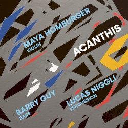 Acanthis