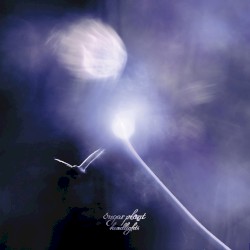 headlights
