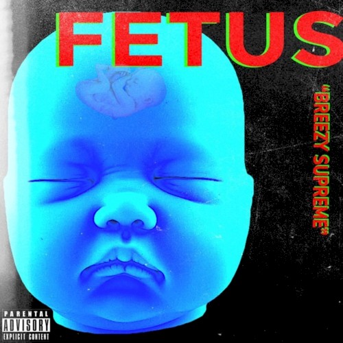 Fetus