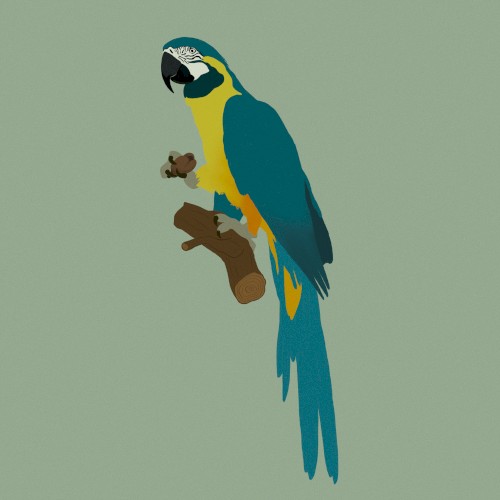 Parrot Dice