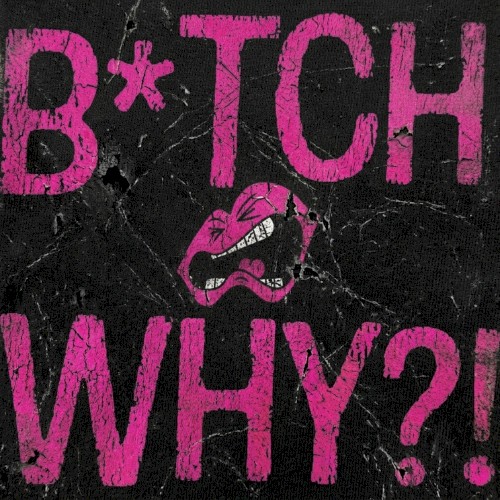 Bitch Why
