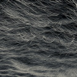 Endurance