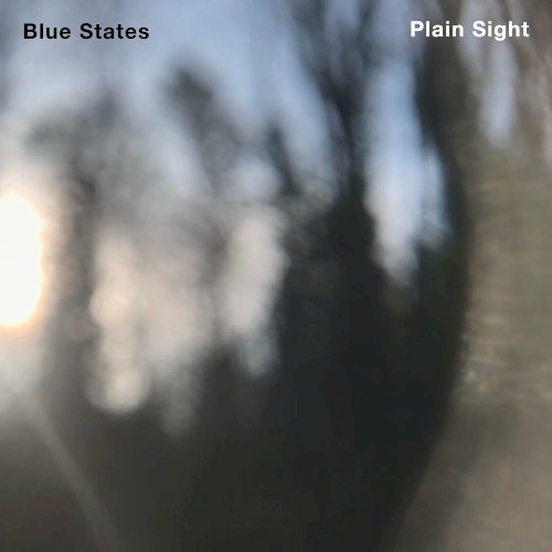 Plain Sight