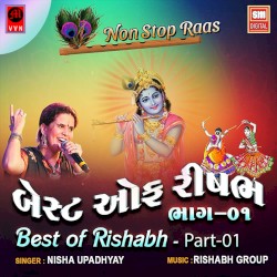 Best of Rishabh, Part 01: Non Stop Raas