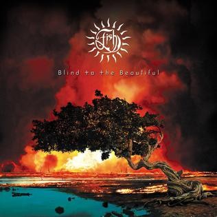 Blind to the Beautiful