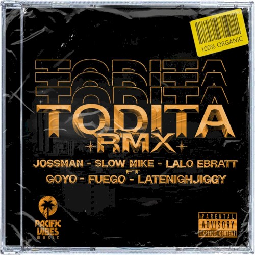Todita RMX