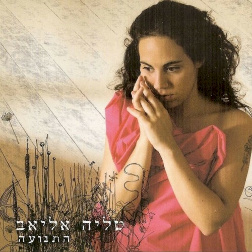 התנועה